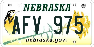 NE license plate AFV975
