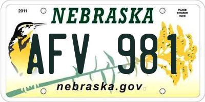 NE license plate AFV981