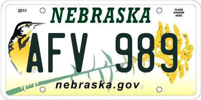 NE license plate AFV989