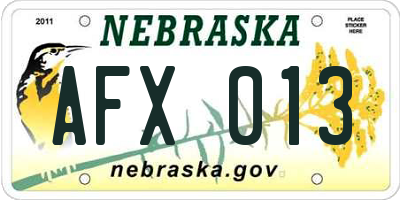 NE license plate AFX013
