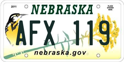 NE license plate AFX119