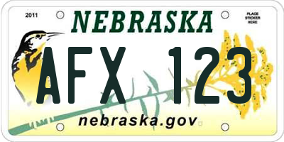 NE license plate AFX123