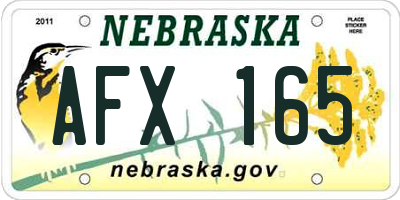 NE license plate AFX165