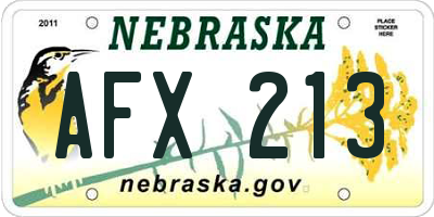 NE license plate AFX213