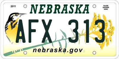NE license plate AFX313
