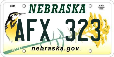 NE license plate AFX323