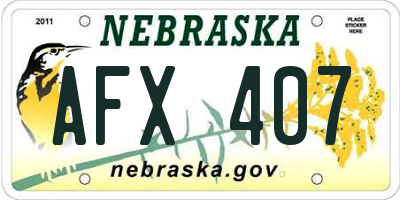NE license plate AFX407