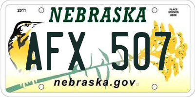 NE license plate AFX507