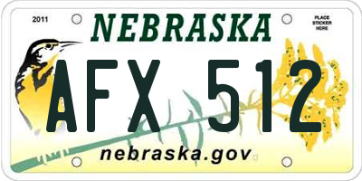 NE license plate AFX512