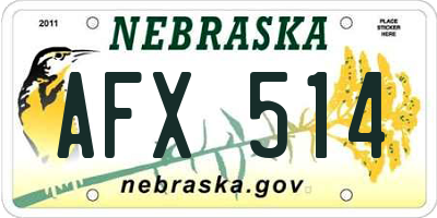 NE license plate AFX514
