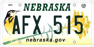 NE license plate AFX515