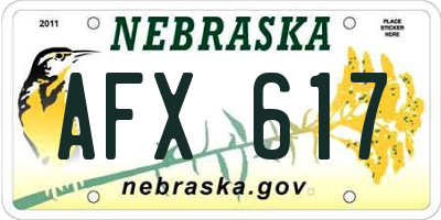 NE license plate AFX617