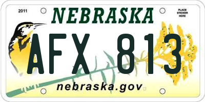 NE license plate AFX813