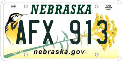 NE license plate AFX913