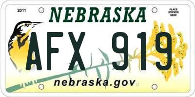 NE license plate AFX919