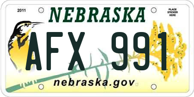 NE license plate AFX991