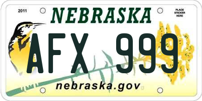 NE license plate AFX999