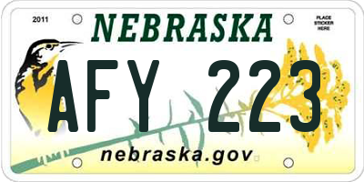 NE license plate AFY223