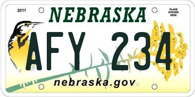 NE license plate AFY234