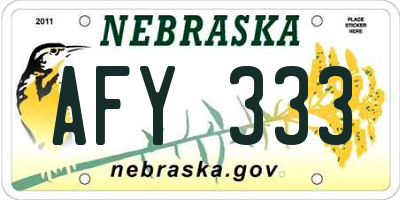 NE license plate AFY333