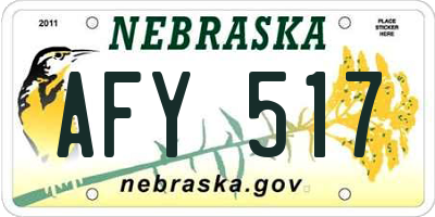 NE license plate AFY517