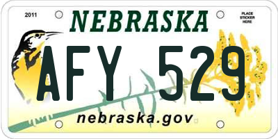 NE license plate AFY529
