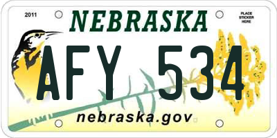 NE license plate AFY534
