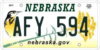 NE license plate AFY594