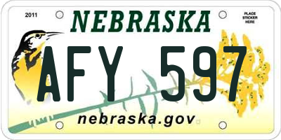 NE license plate AFY597