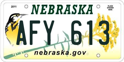 NE license plate AFY613