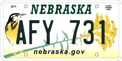 NE license plate AFY731