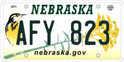 NE license plate AFY823