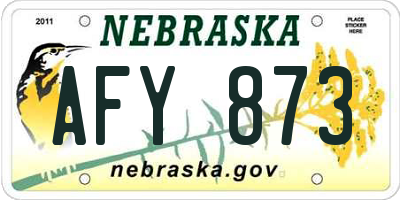 NE license plate AFY873