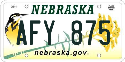 NE license plate AFY875