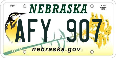 NE license plate AFY907