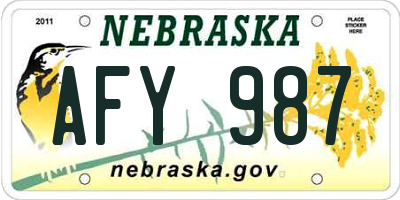 NE license plate AFY987