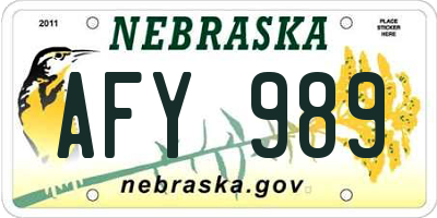 NE license plate AFY989