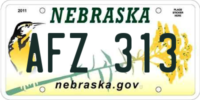 NE license plate AFZ313