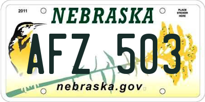 NE license plate AFZ503