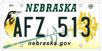 NE license plate AFZ513