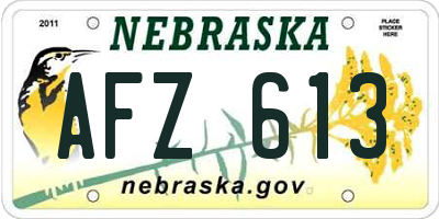 NE license plate AFZ613