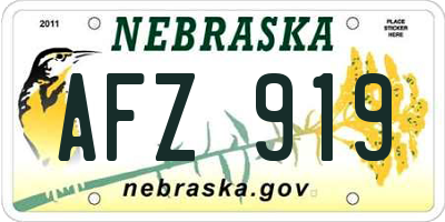 NE license plate AFZ919