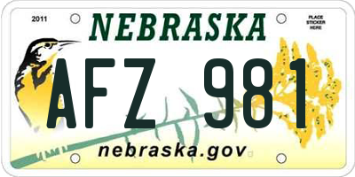 NE license plate AFZ981