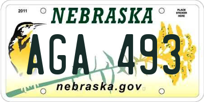 NE license plate AGA493