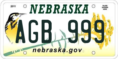 NE license plate AGB999