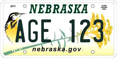 NE license plate AGE123