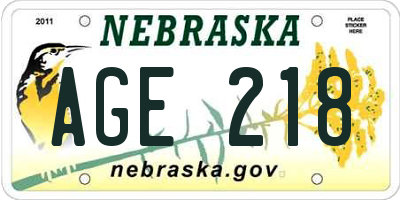 NE license plate AGE218