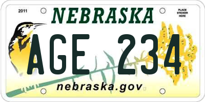 NE license plate AGE234