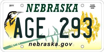 NE license plate AGE293