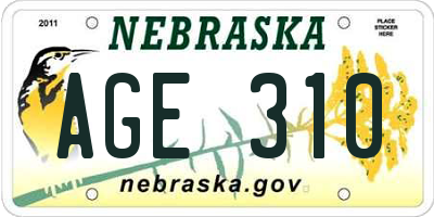 NE license plate AGE310
